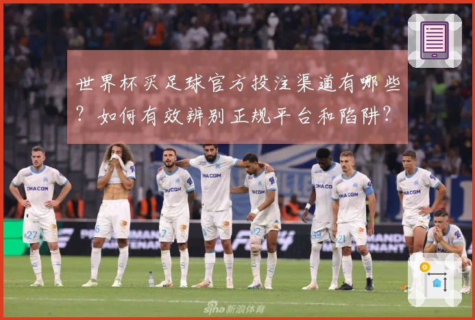世界杯买足球官方投注渠道有哪些？如何有效辨别正规平台和陷阱？