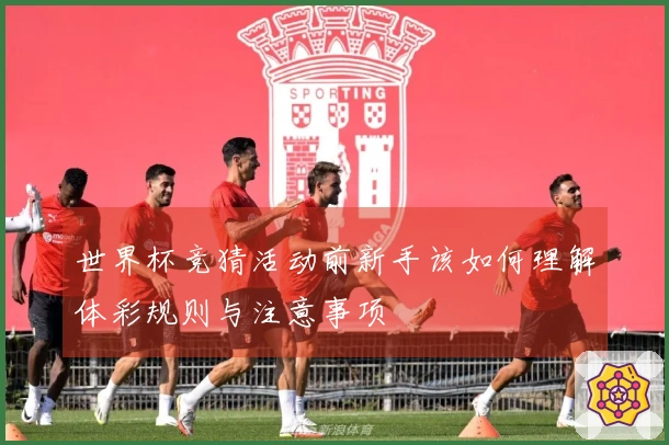 世界杯竞猜活动前新手该如何理解体彩规则与注意事项
