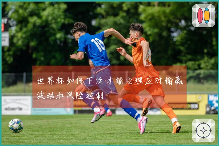 世界杯如何下注才能合理应对输赢波动和风险控制