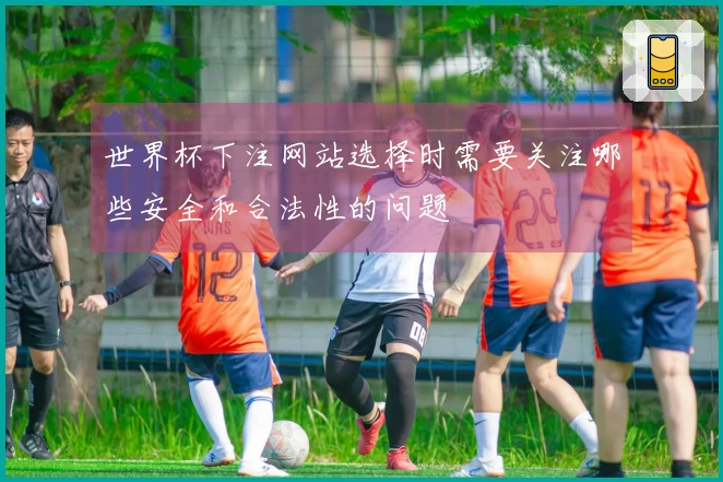 世界杯下注网站选择时需要关注哪些安全和合法性的问题