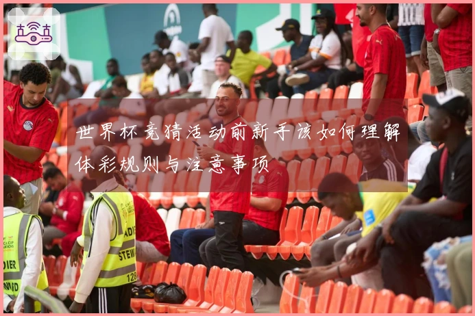 世界杯竞猜活动前新手该如何理解体彩规则与注意事项