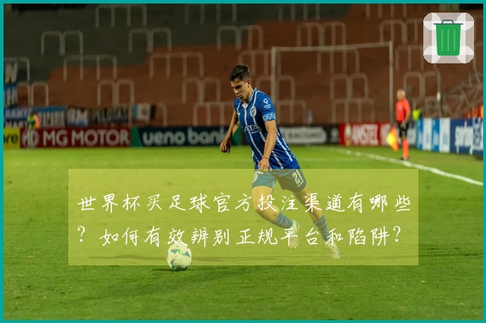 世界杯买足球官方投注渠道有哪些？如何有效辨别正规平台和陷阱？