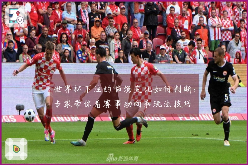 世界杯下注的临场变化如何判断，专家带你看赛事动向和玩法技巧