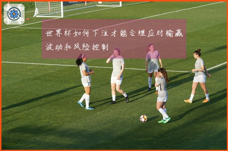 世界杯如何下注才能合理应对输赢波动和风险控制